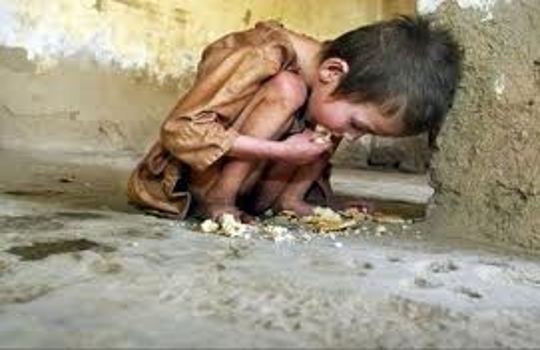 Hardship 6